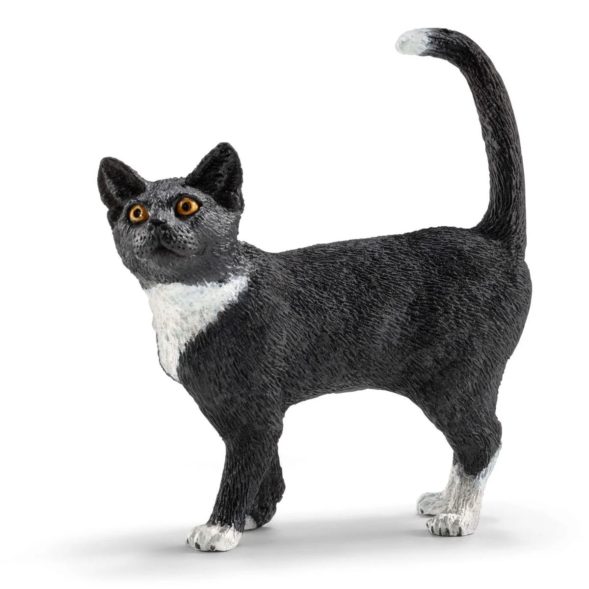 Divertissement pour chats mignons - Image 5