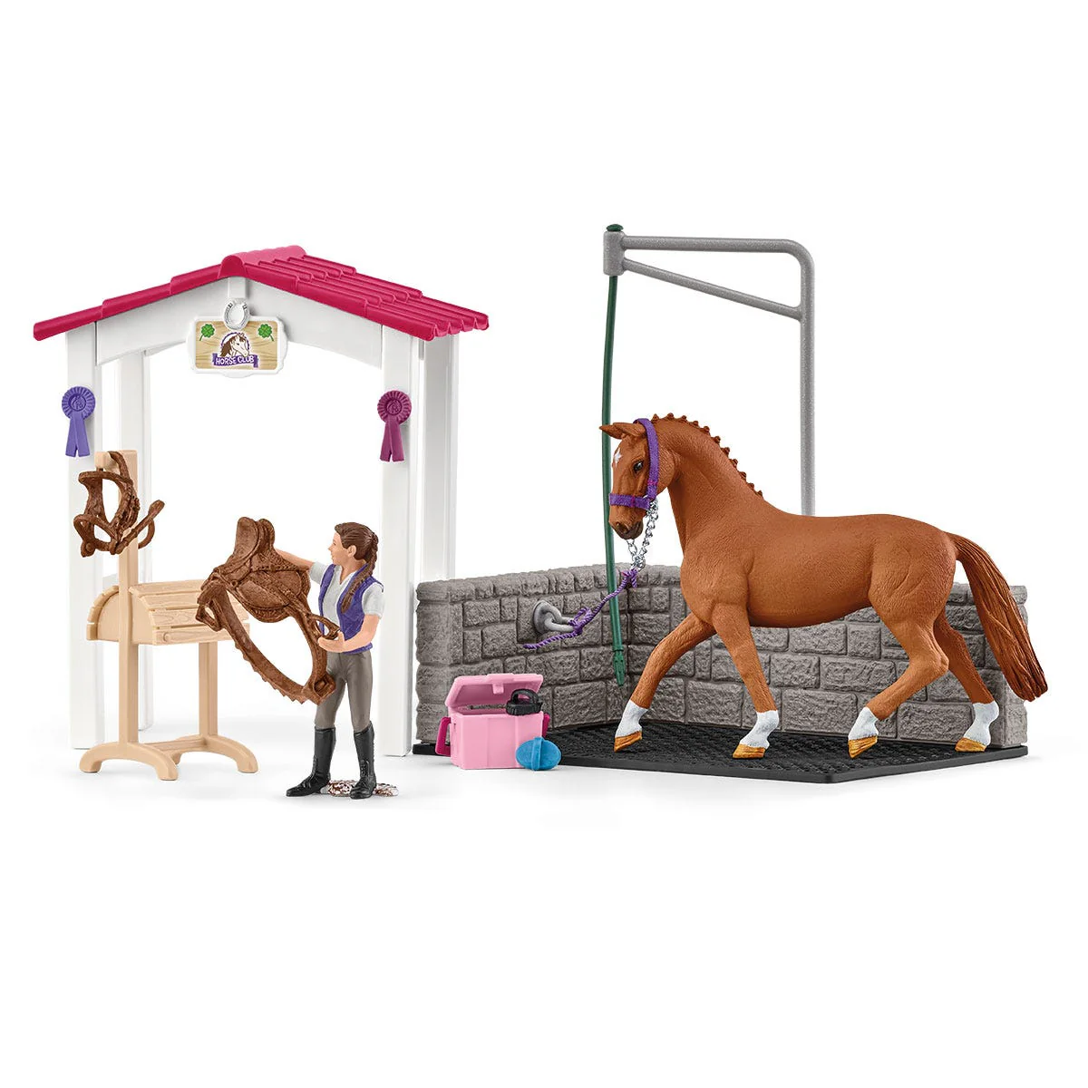 Aire De Lavage Avec Box À Cheval - Image 5
