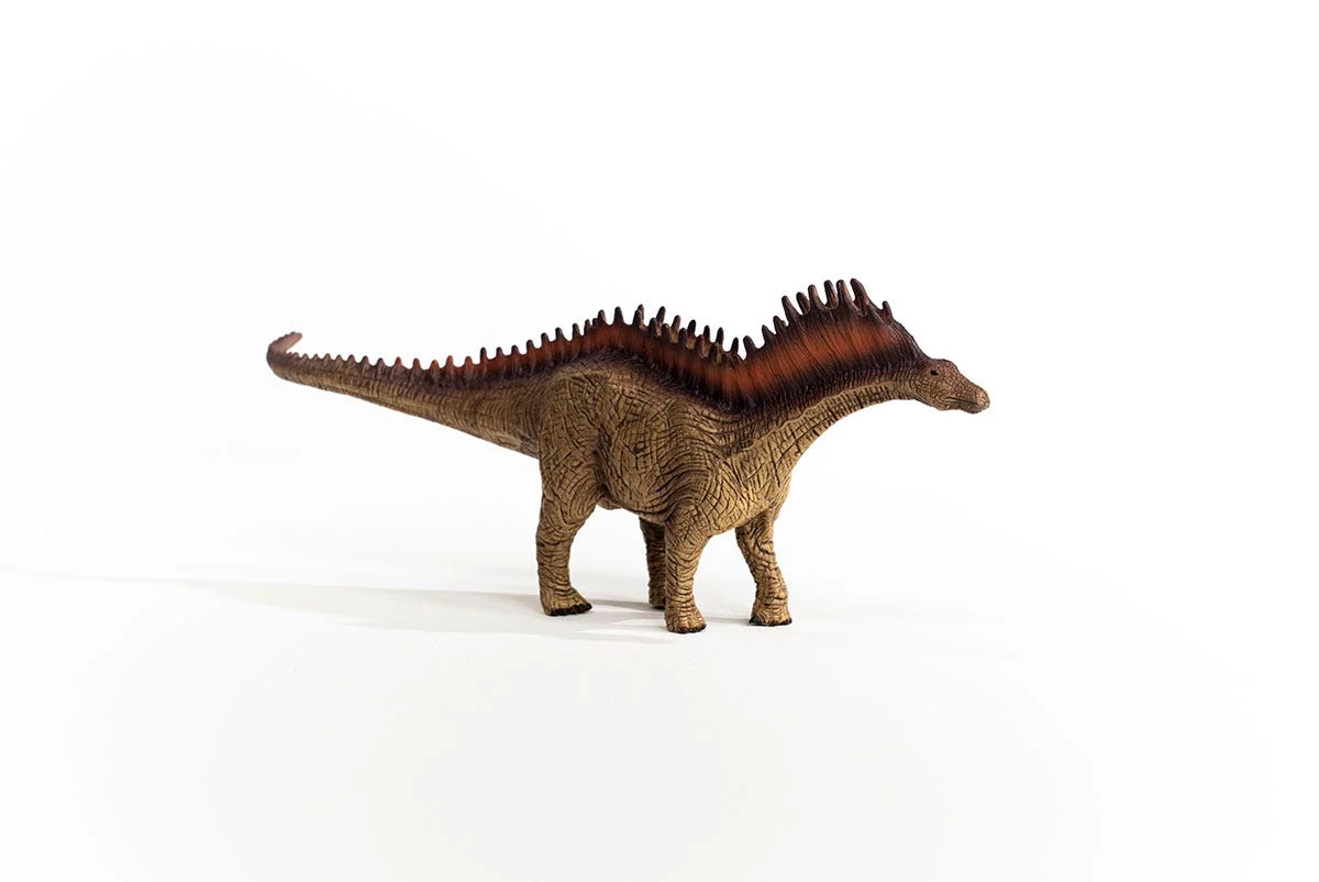 Amargasaurus - Image 2