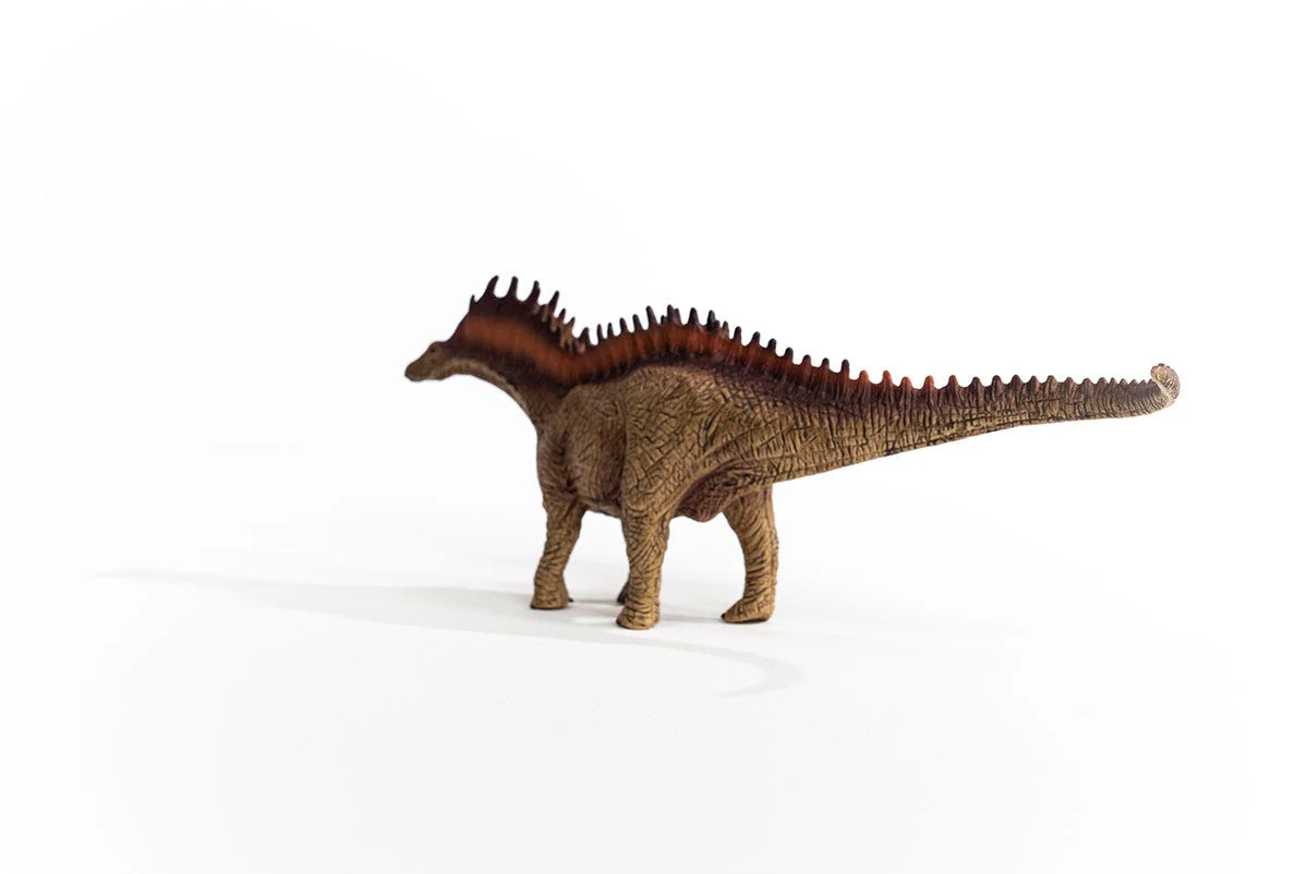 Amargasaurus - Image 5