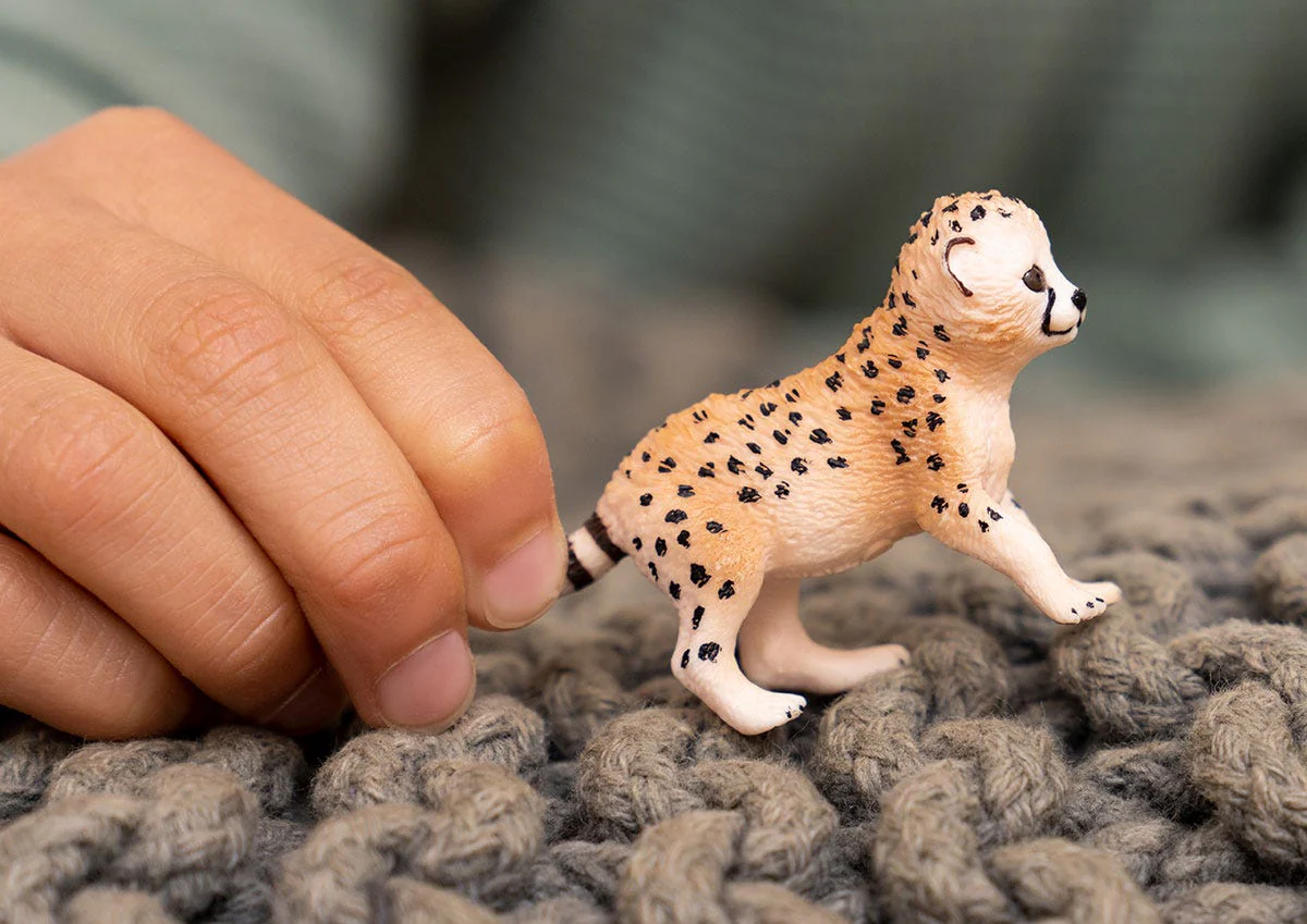 Bébé Guépard - Image 2