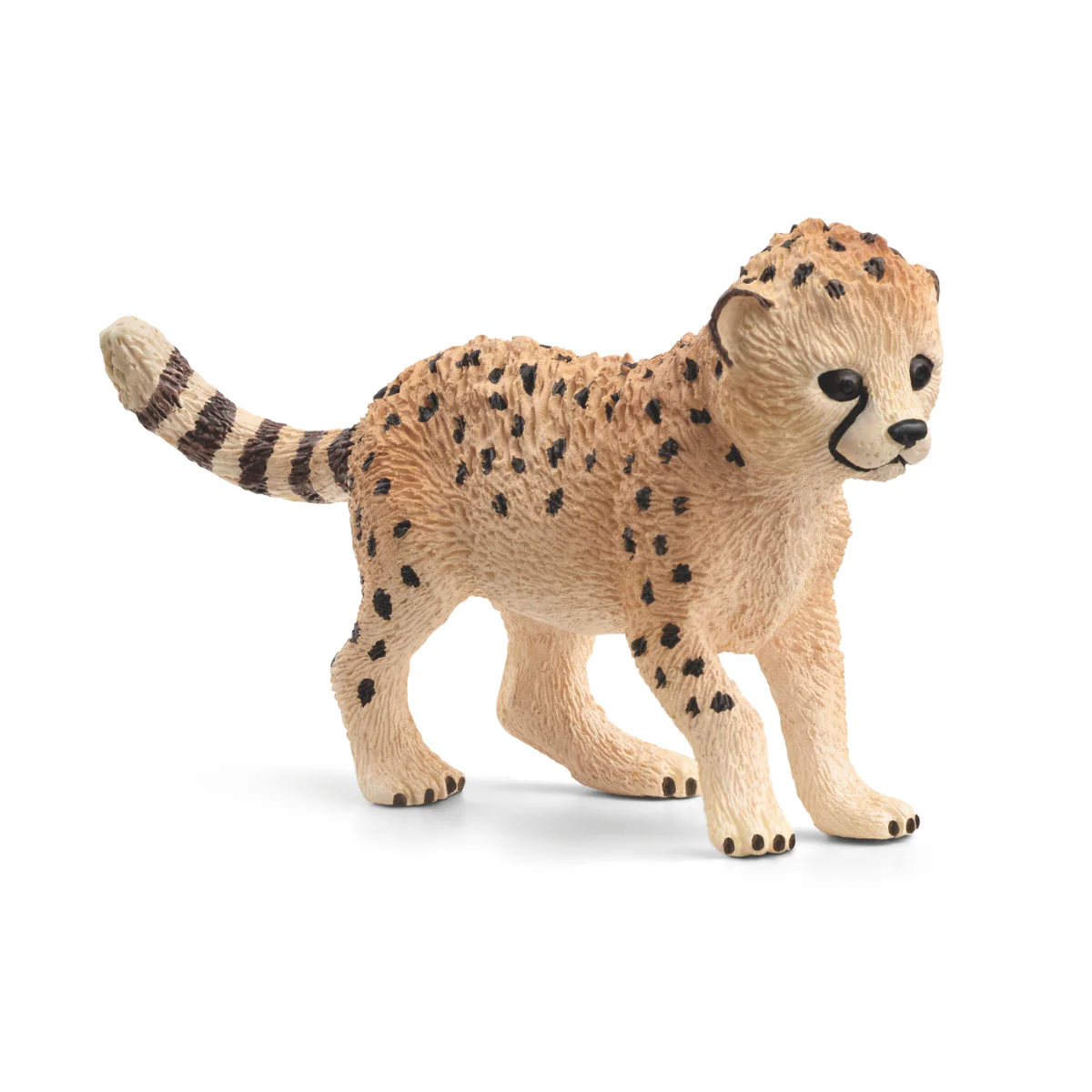 Bébé Guépard (Bundle)