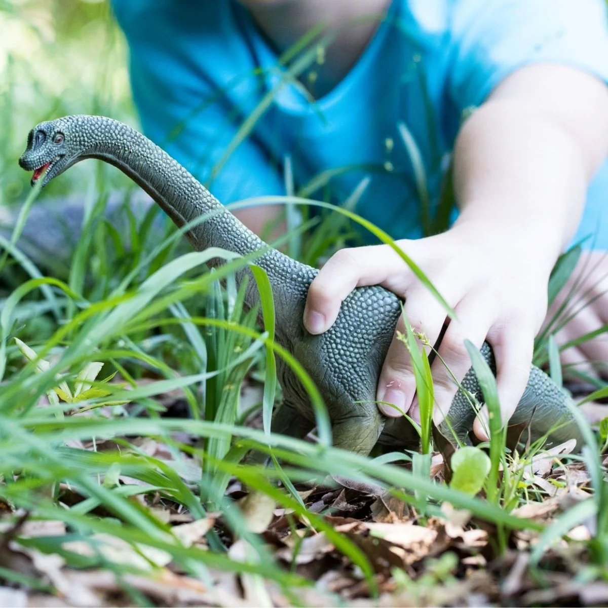 Brachiosaure - Image 3