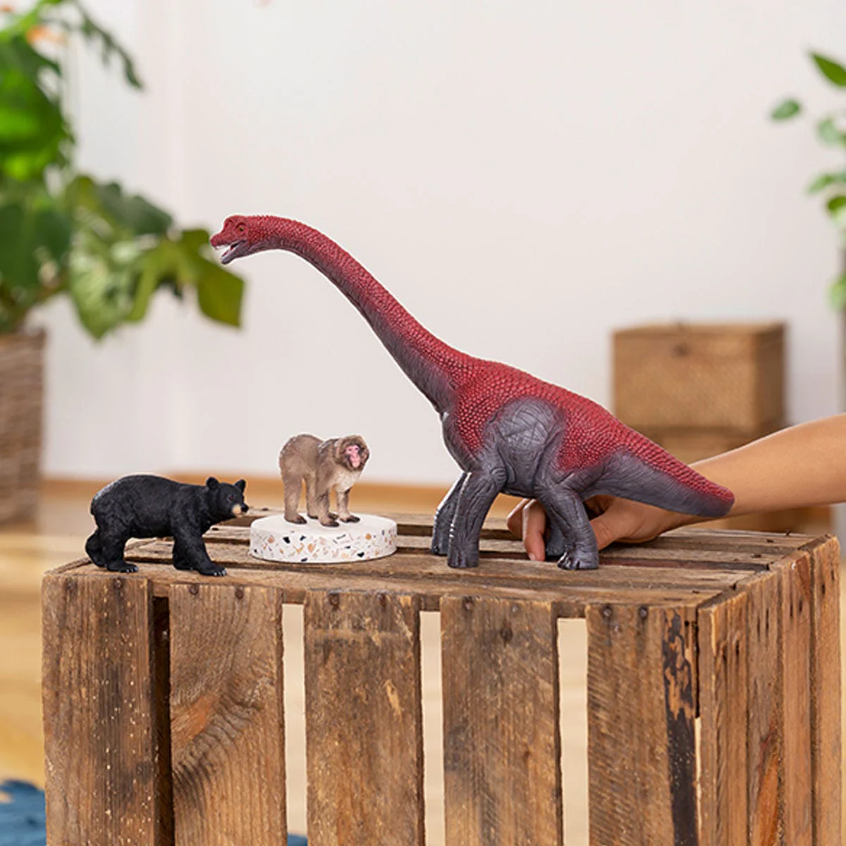 Brachiosaure - Image 2