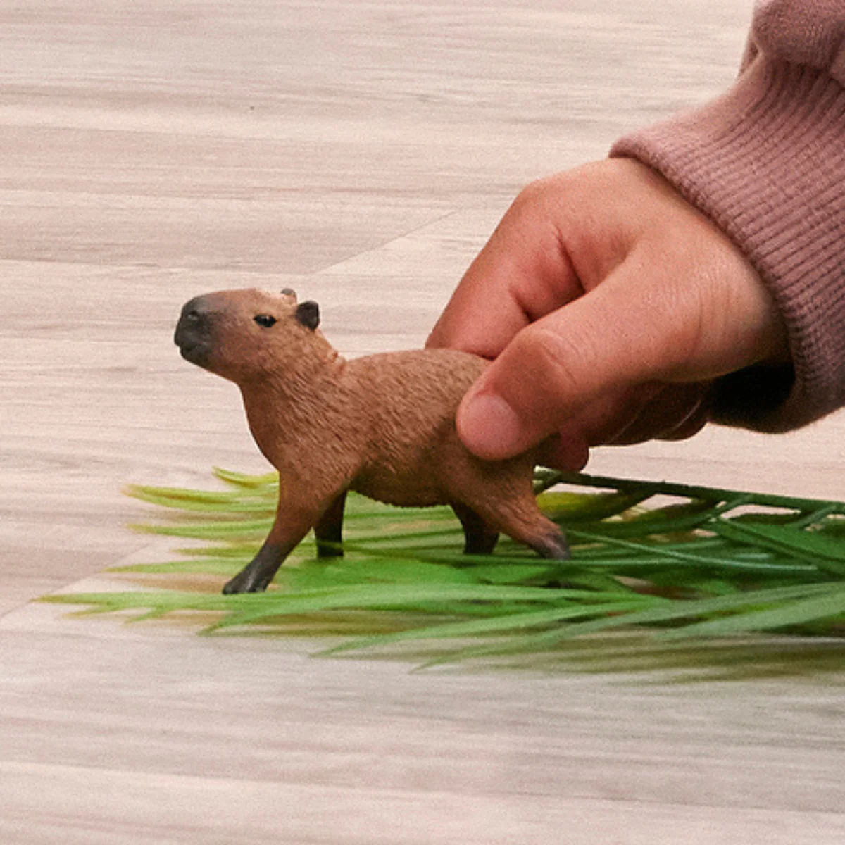 Capybara - Image 2