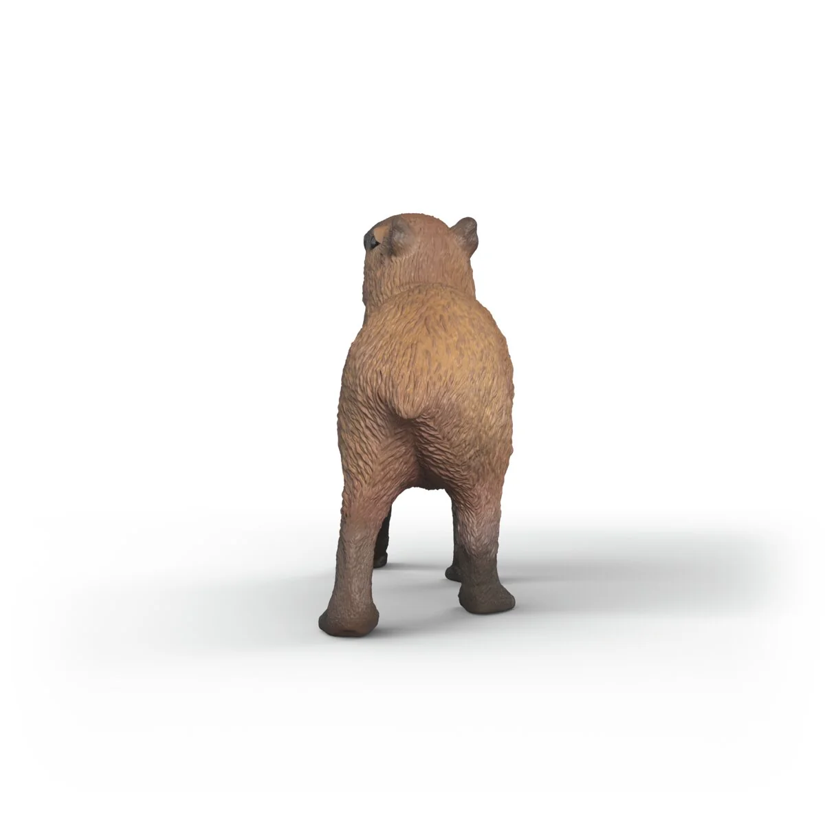 Capybara - Image 3