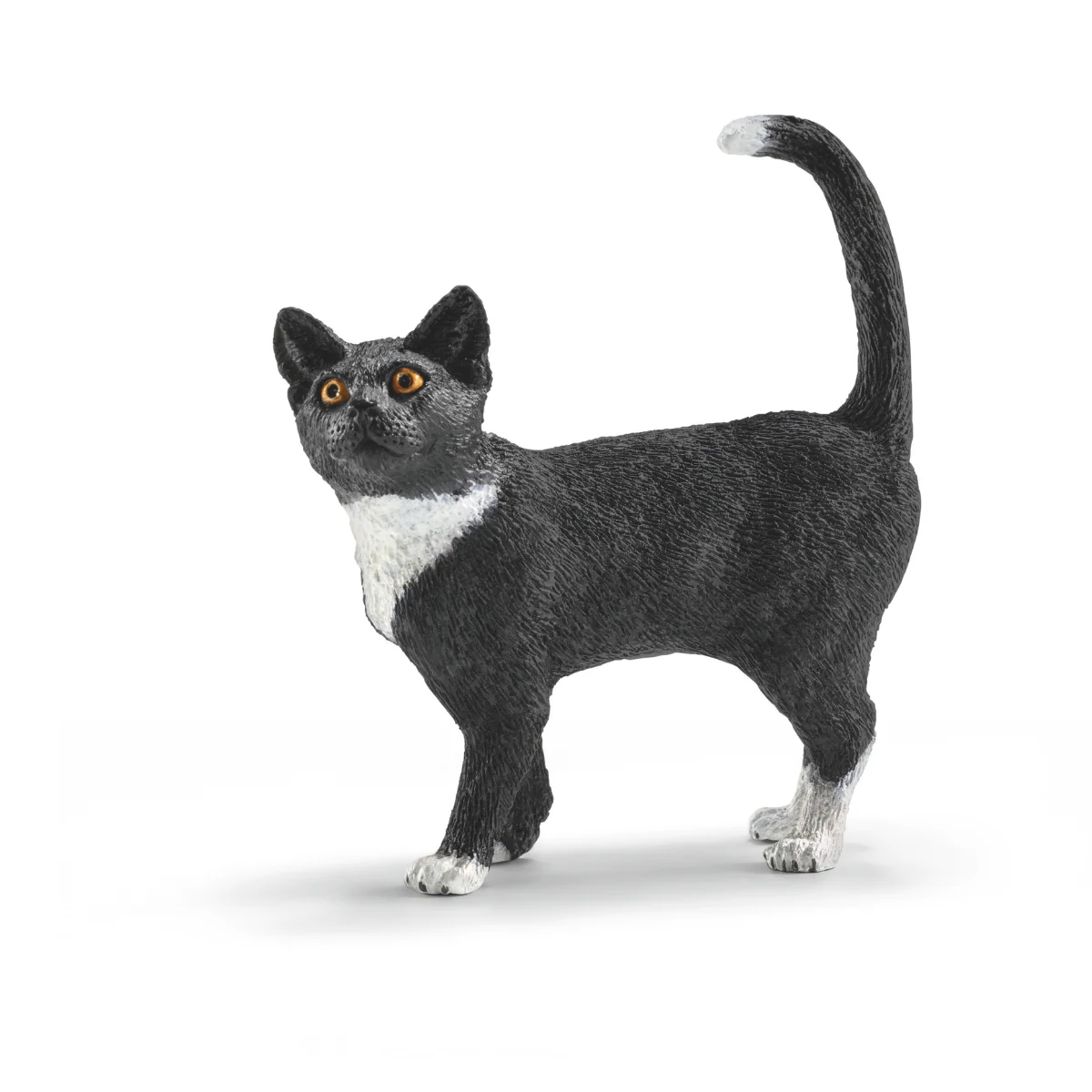 Chat debout (Bundle)