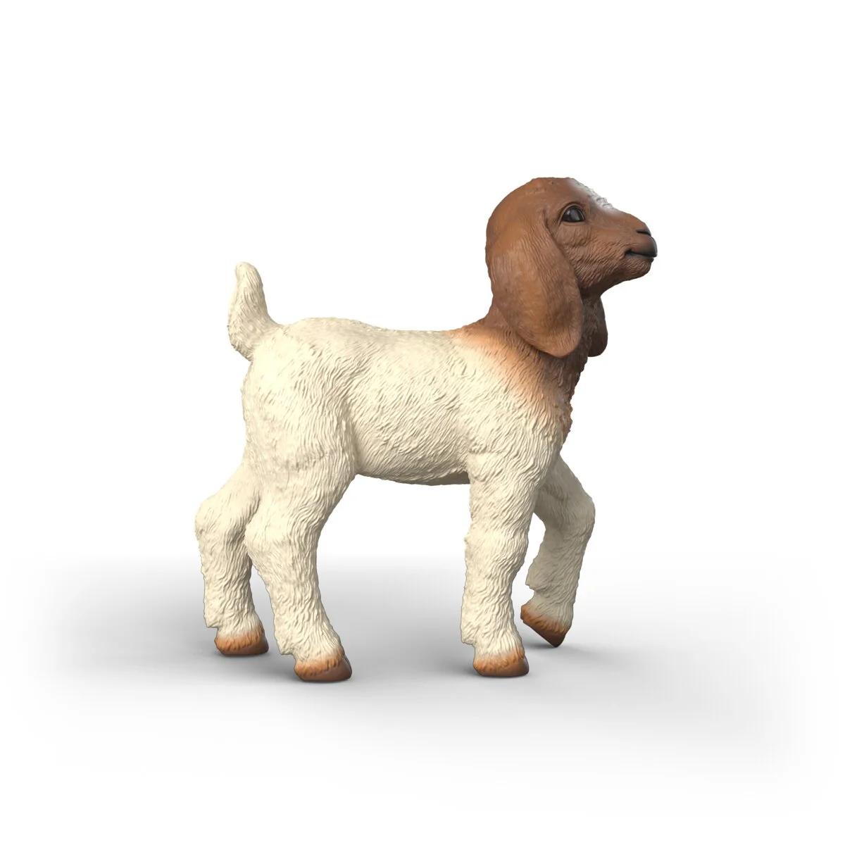Chevreau Boer - Image 4