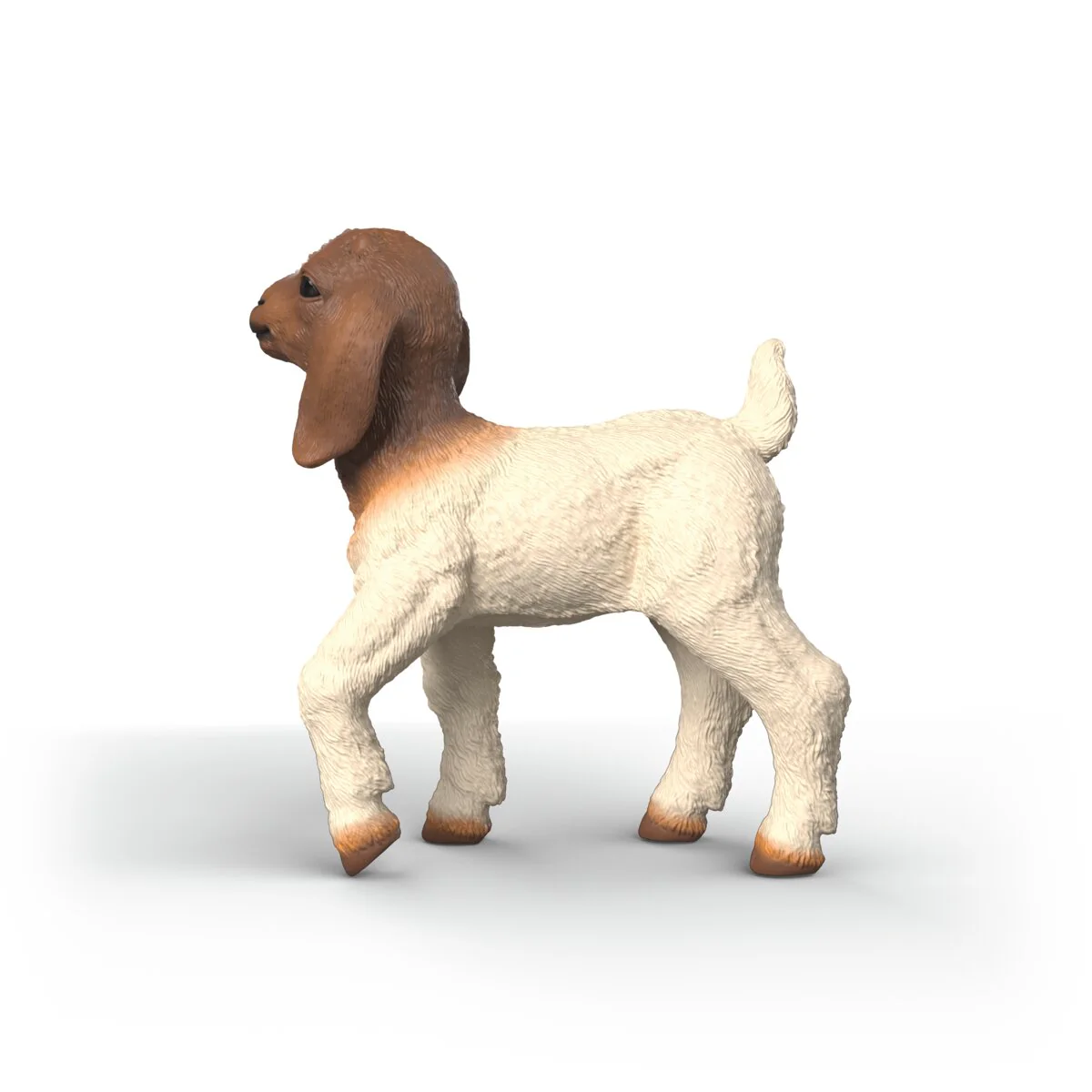 Chevreau Boer - Image 5