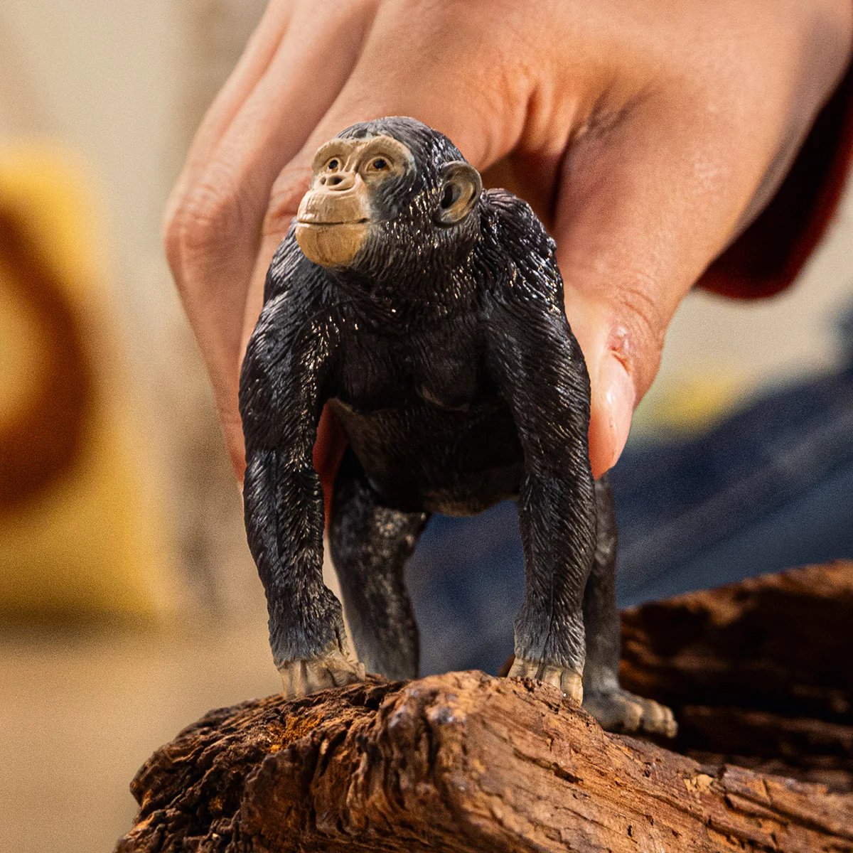 Chimpanzé - Image 2