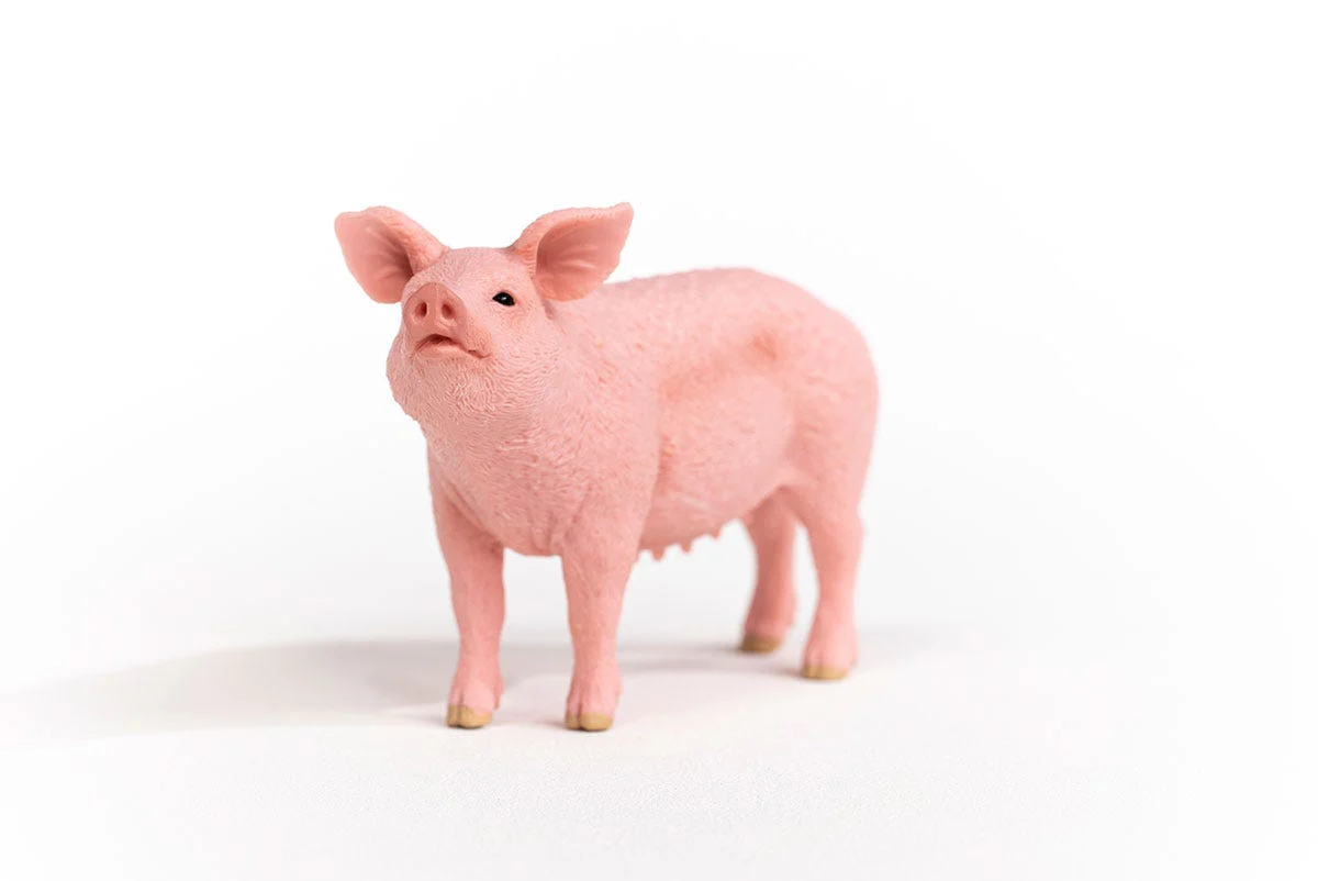 Cochon - Image 2