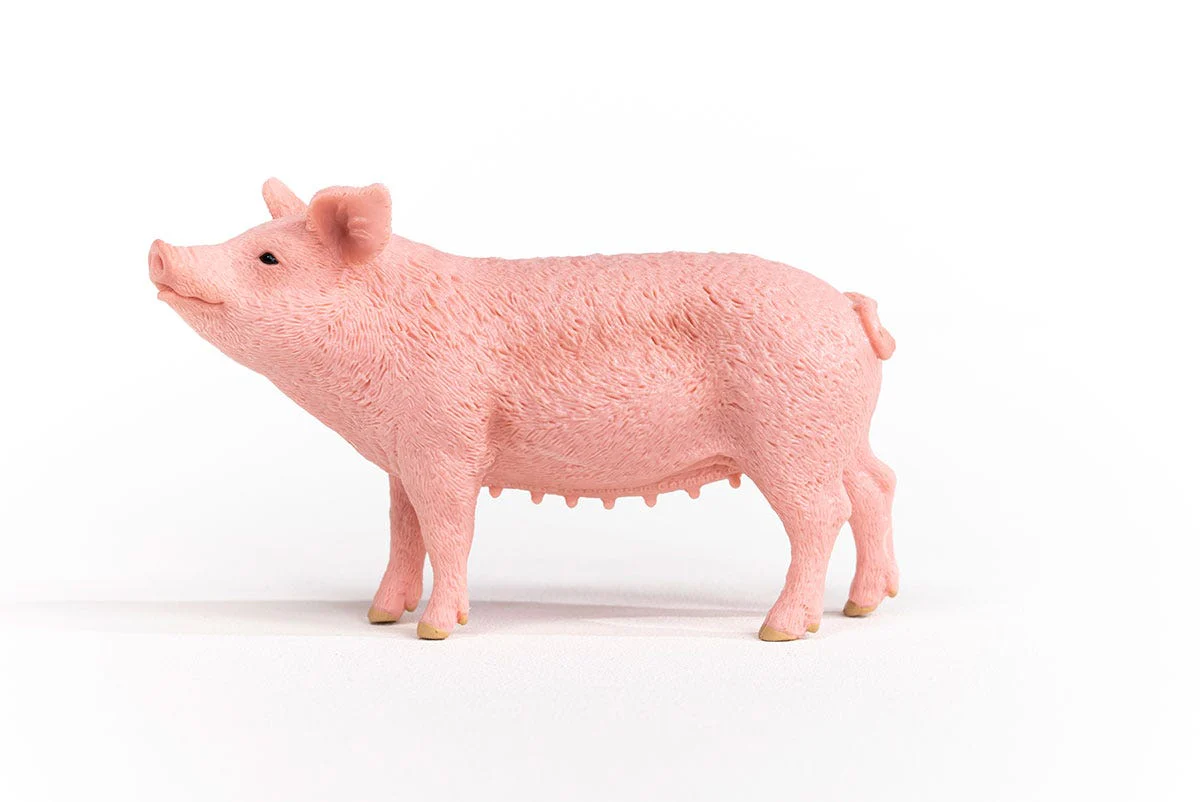 Cochon - Image 3