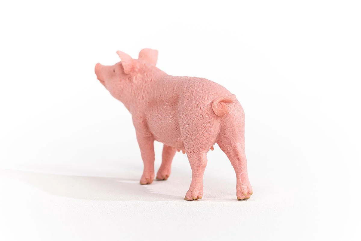 Cochon - Image 4