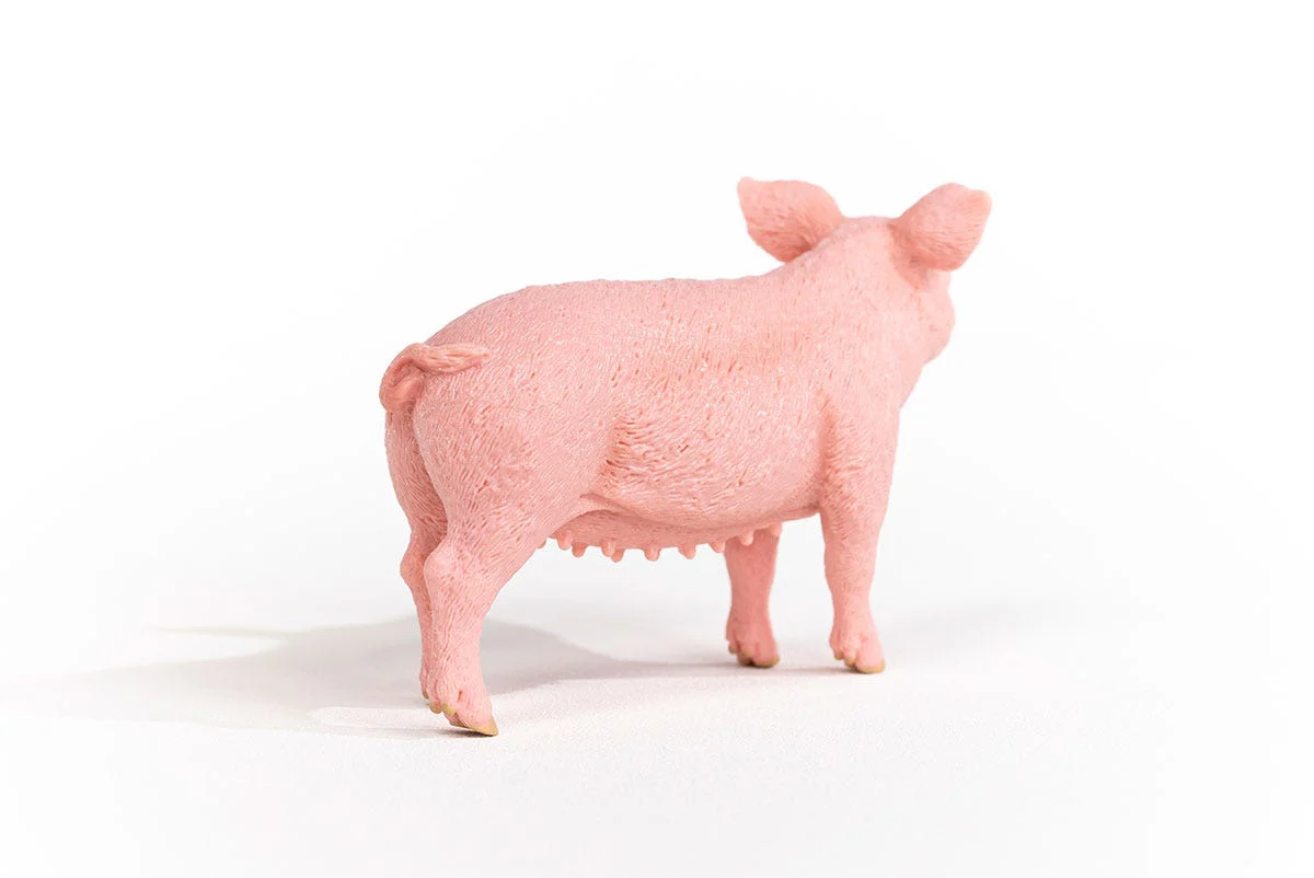 Cochon - Image 5