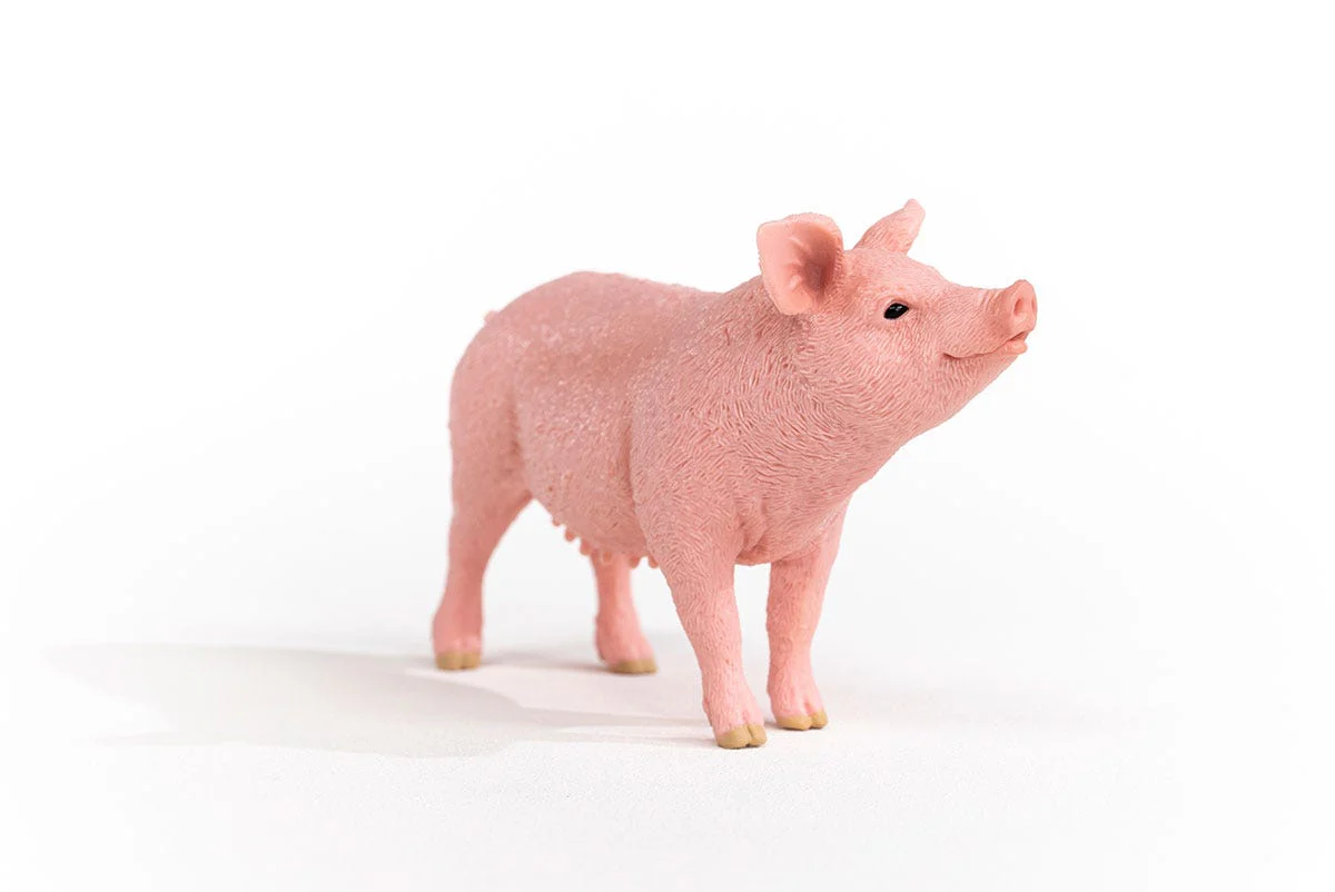 Cochon - Image 6