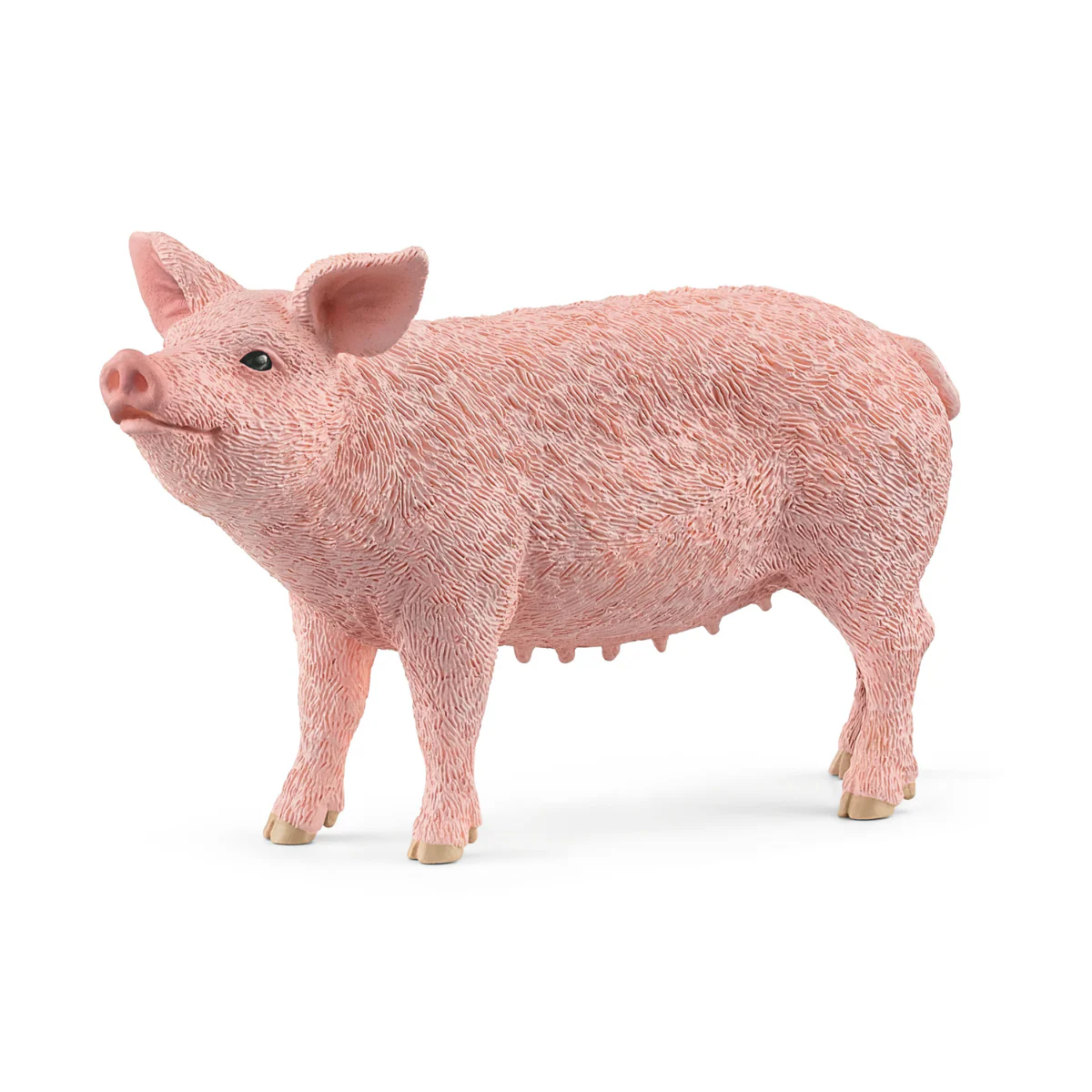 Cochon (Bundle)