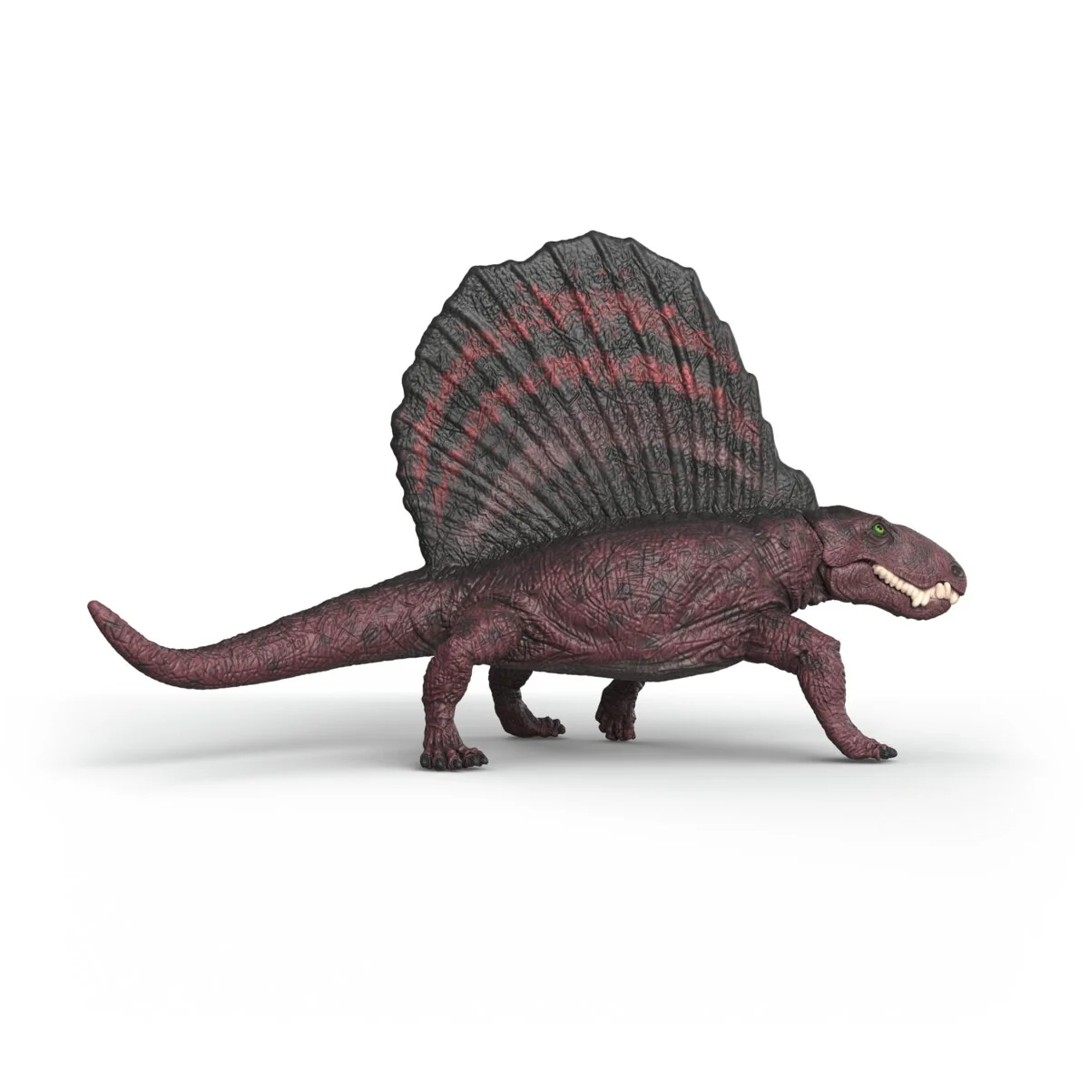 Dimetrodon - Image 3