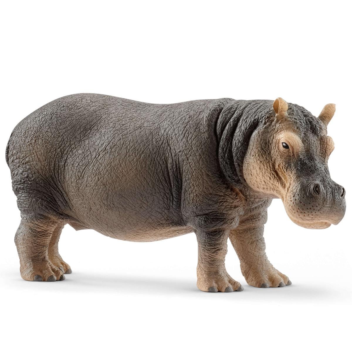 Hippopotame (bundle)
