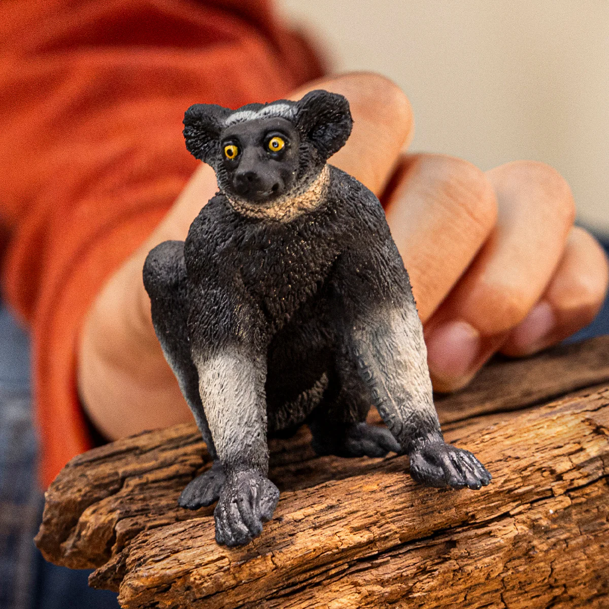 Indri - Image 2