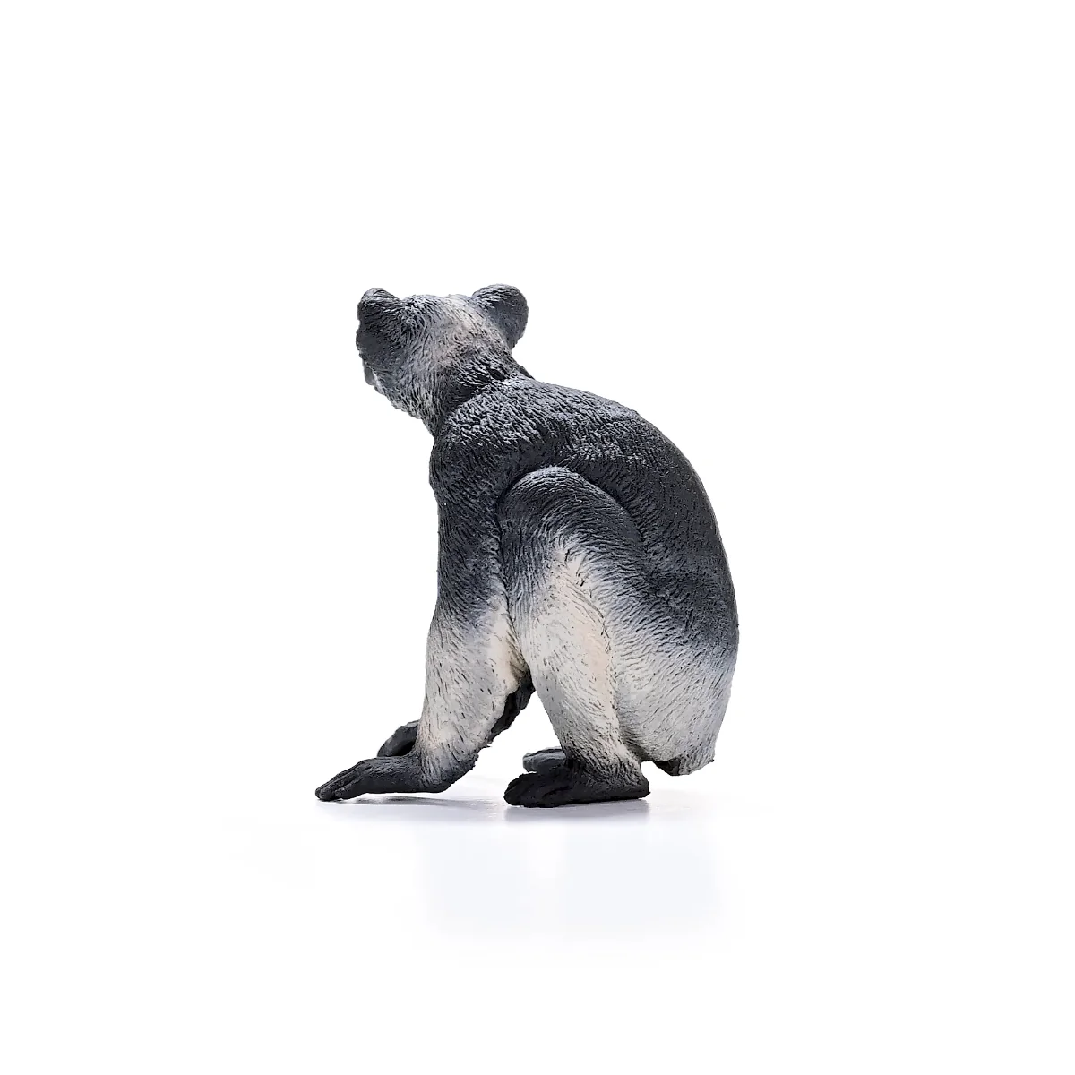 Indri - Image 5