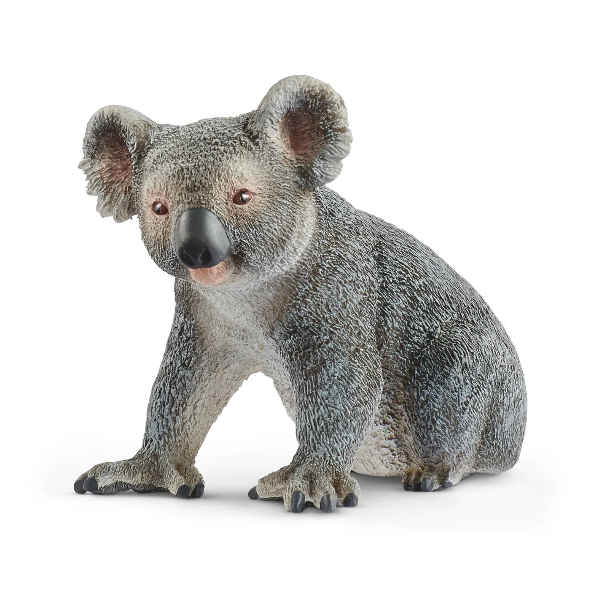 Koala (Bundle)