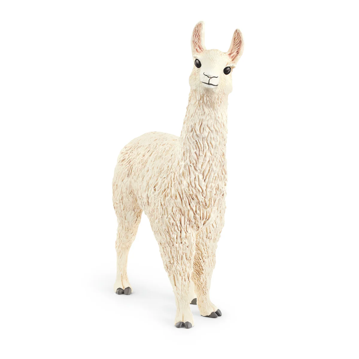 Lama (Bundle)