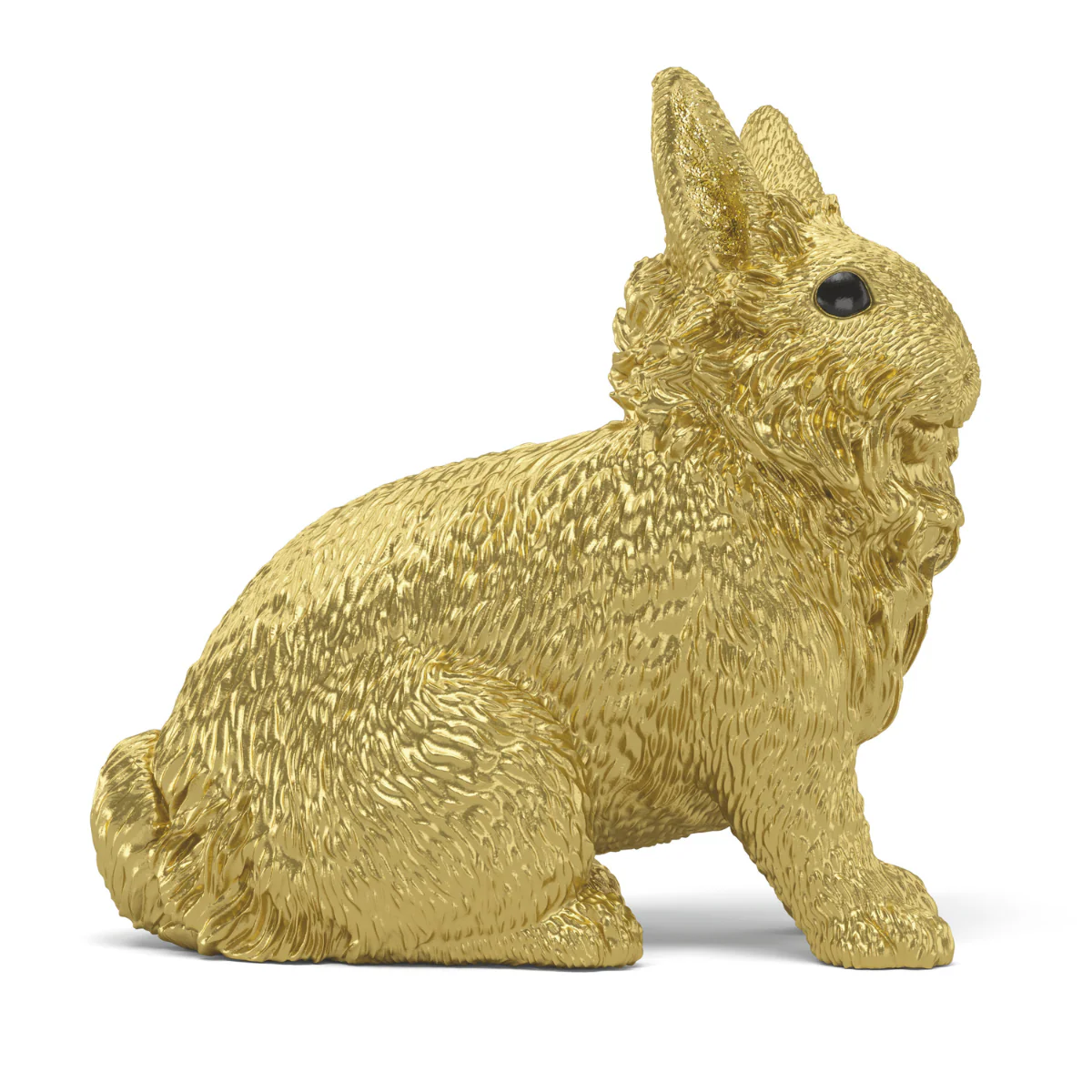 Lapin doré - Image 6