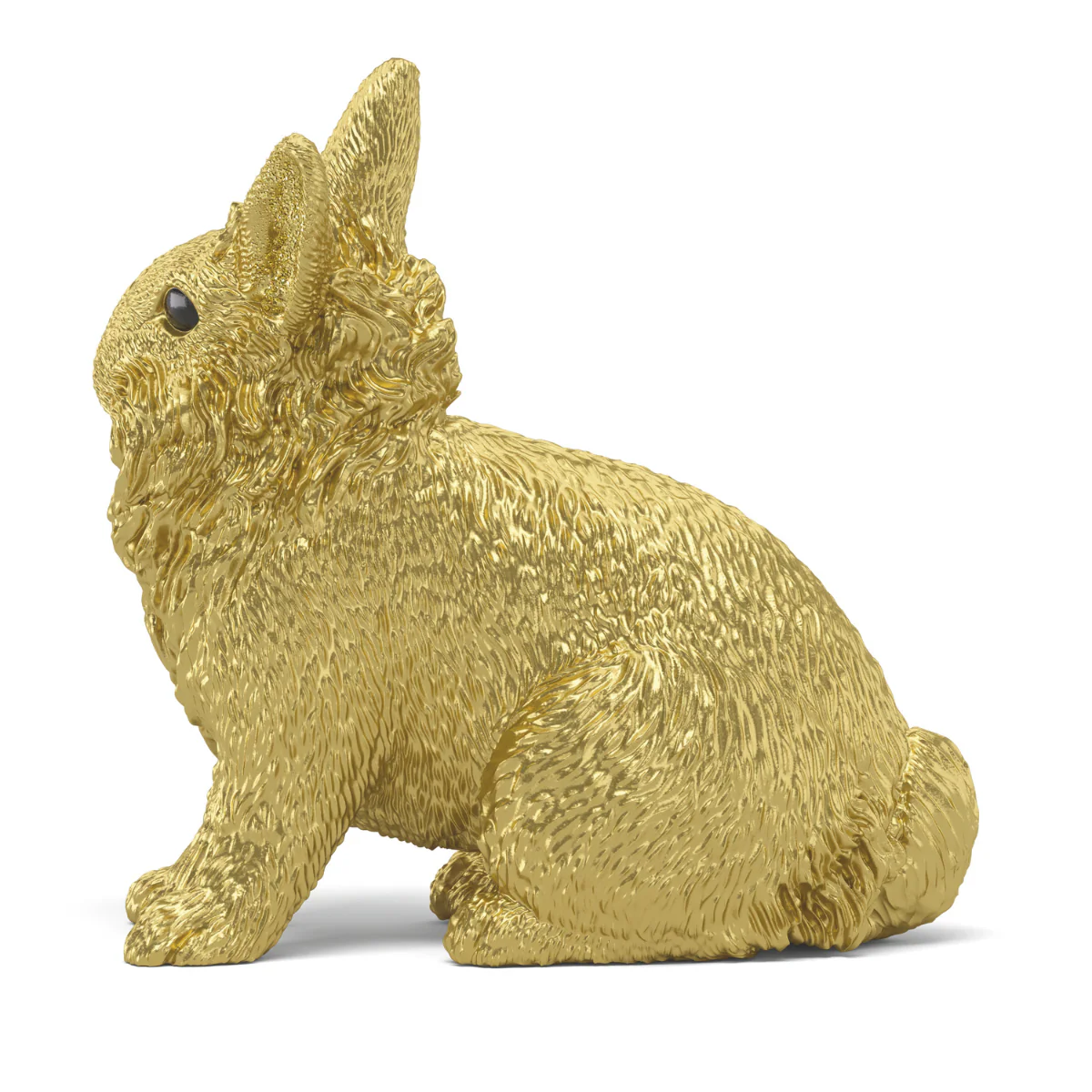 Lapin doré - Image 8