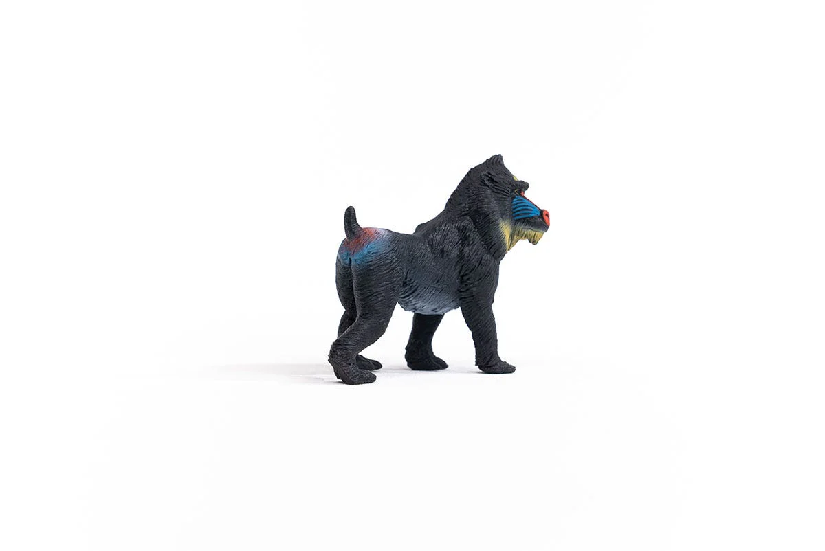 Mandrill - Image 3