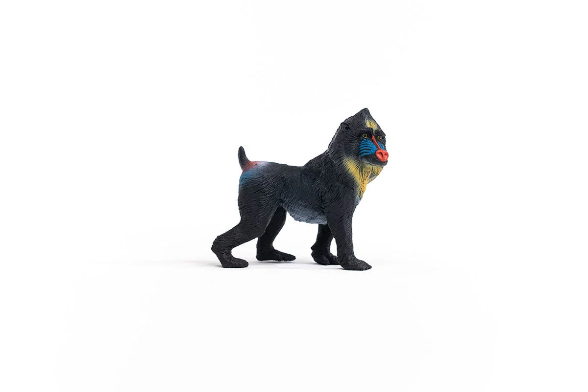 Mandrill - Image 4