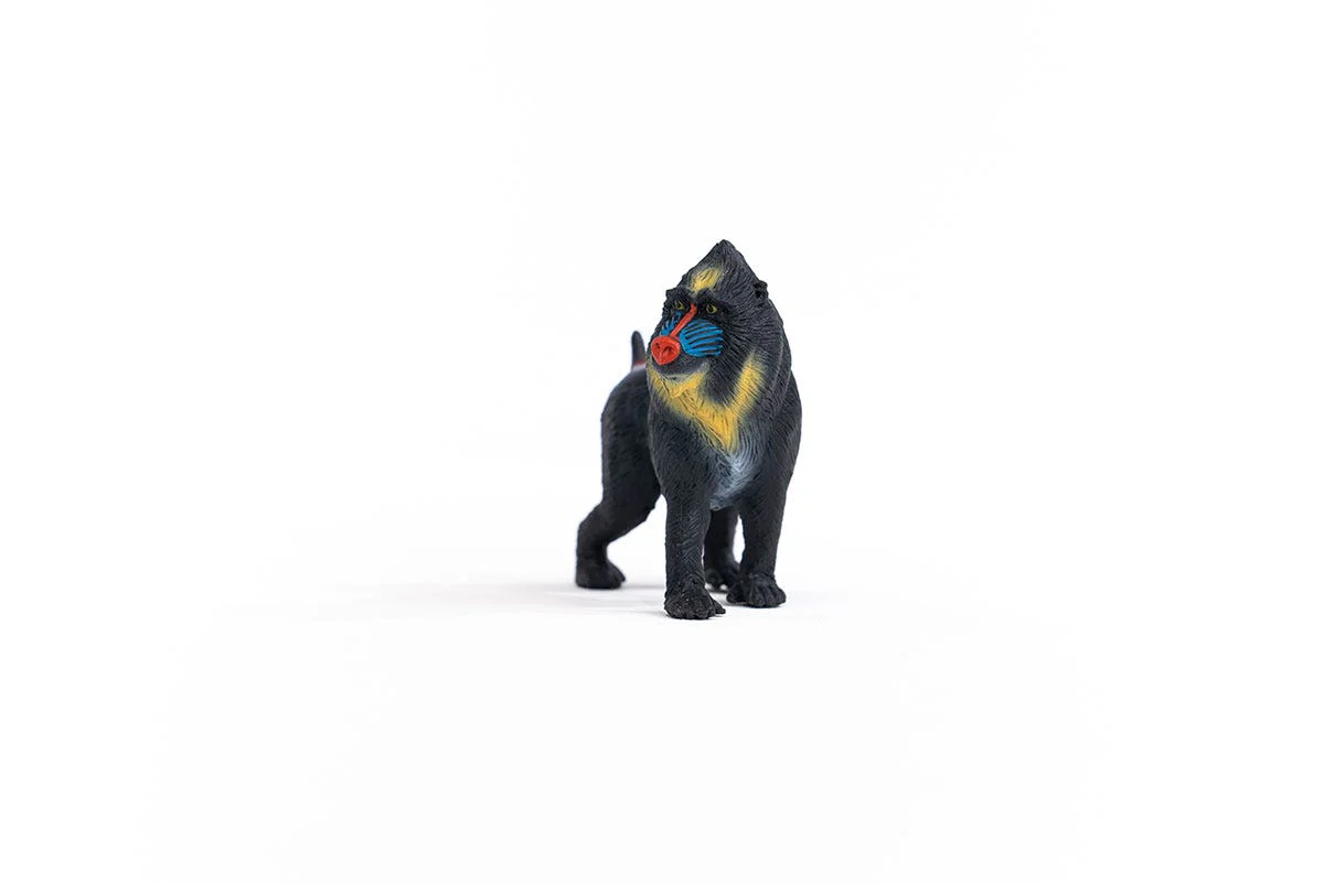Mandrill - Image 5