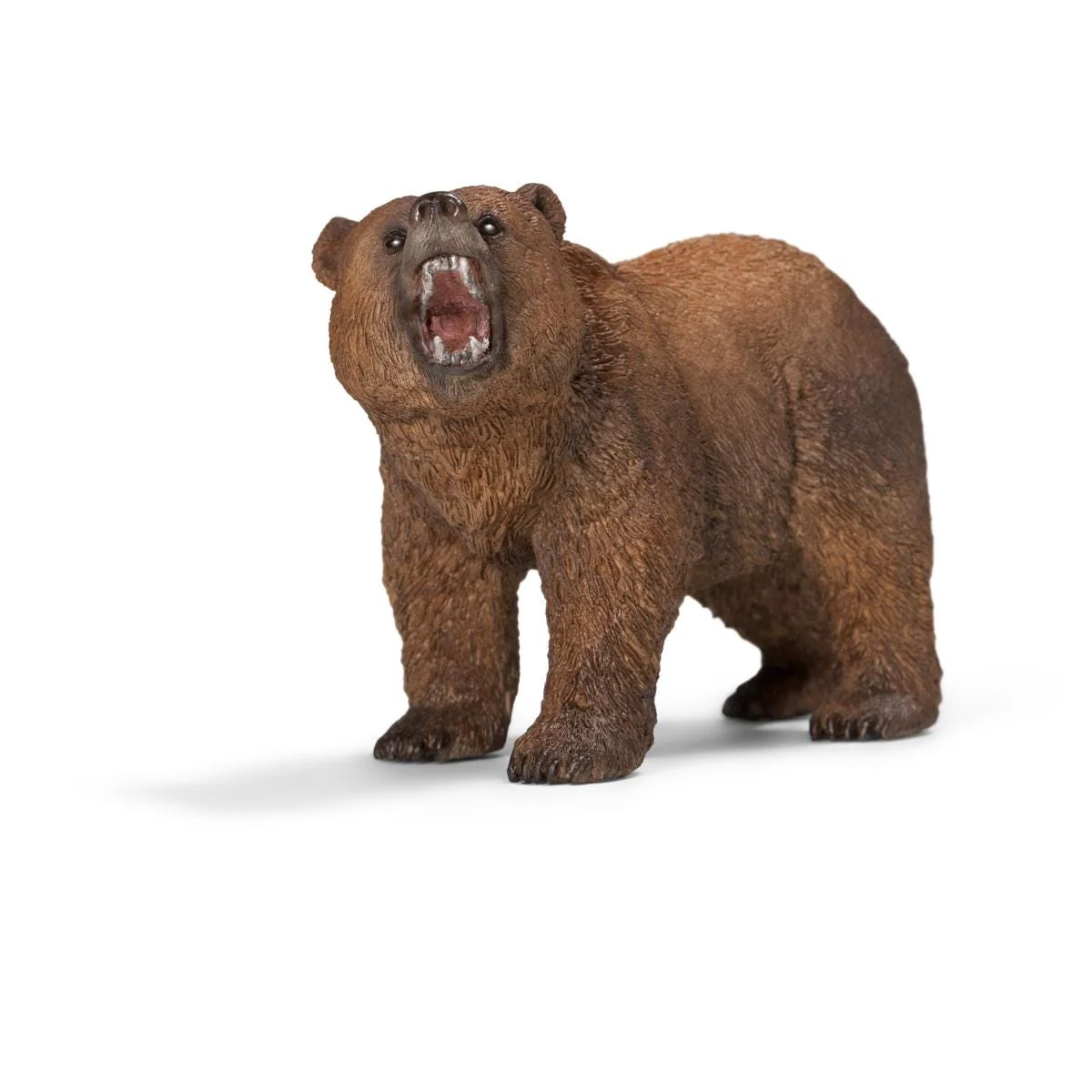 Ours Grizzly (Bundle)