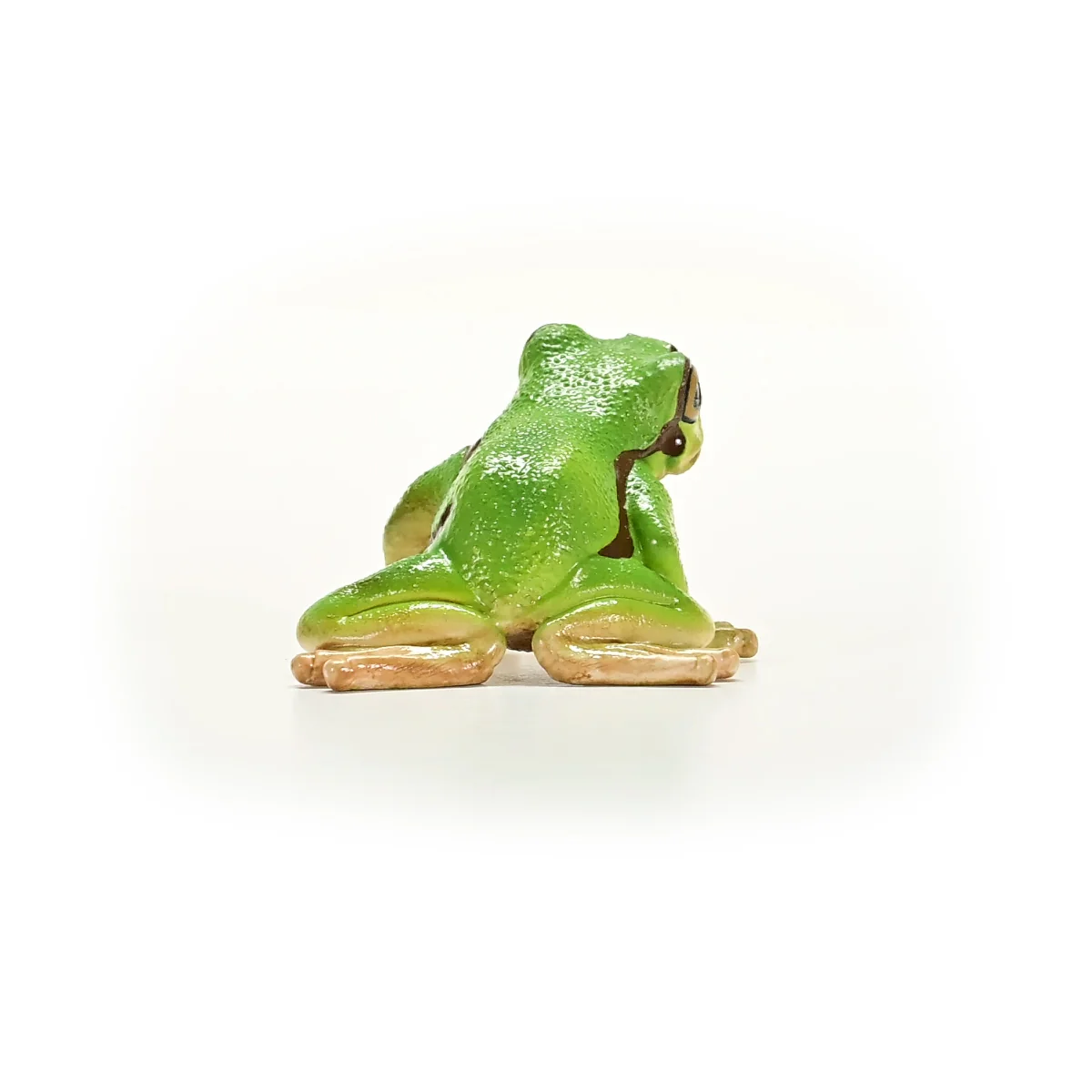 Rainette Verte - Image 3