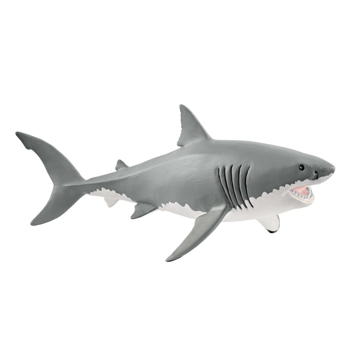 Requin blanc