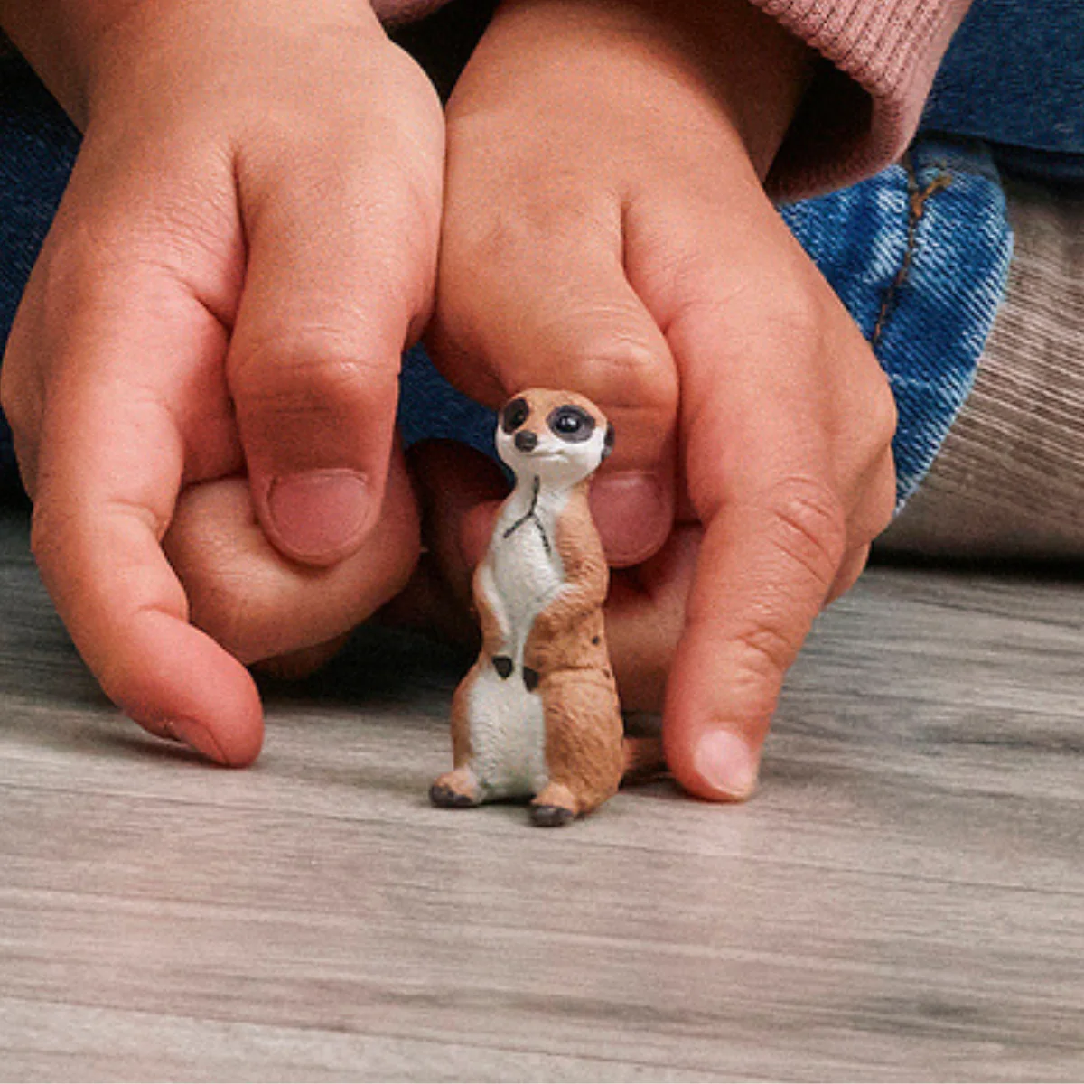 Suricate - Image 2