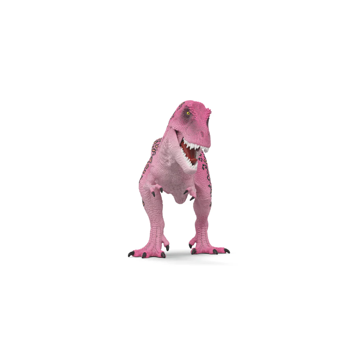 T-Rex, rosé - Image 7