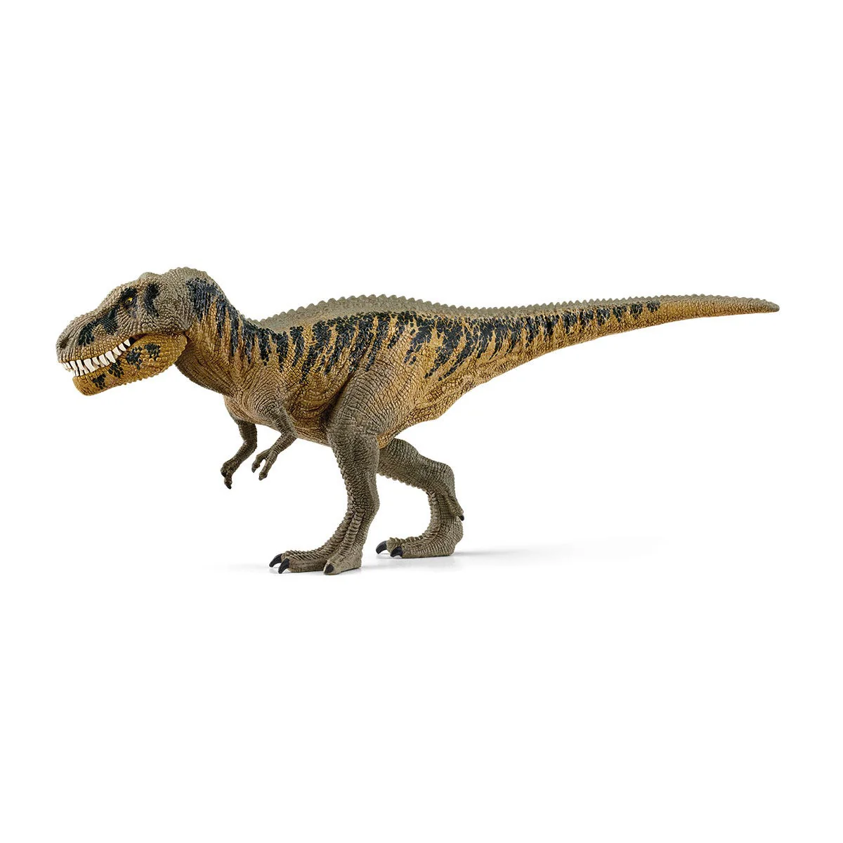 Tarbosaurus - Image 4