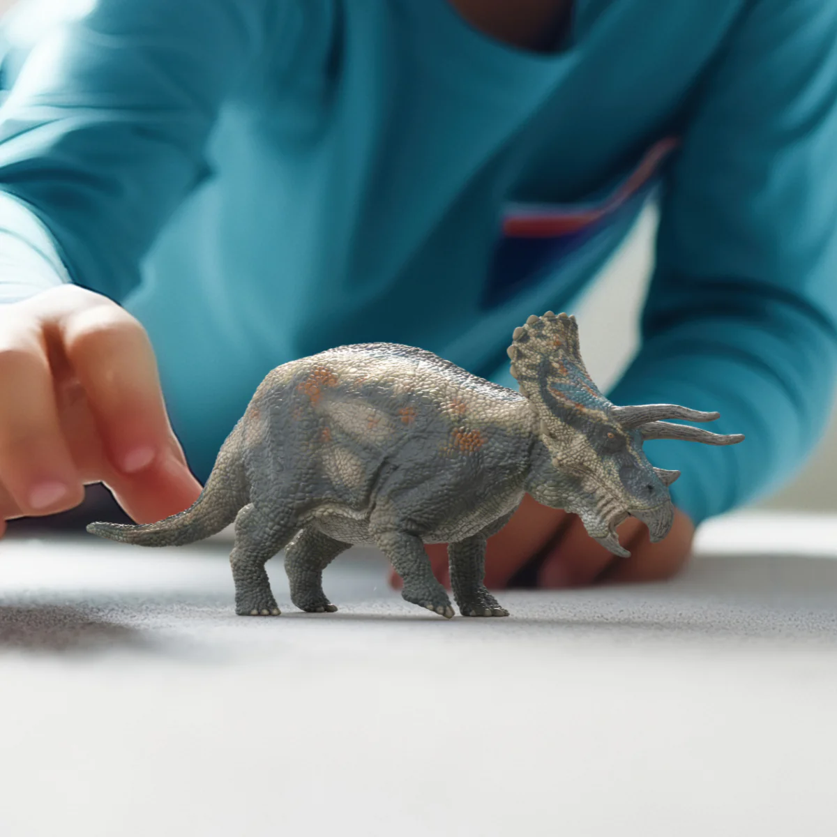 Tricératops - Image 2