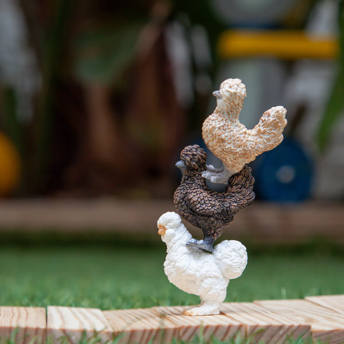 Poules Amies - Image 3