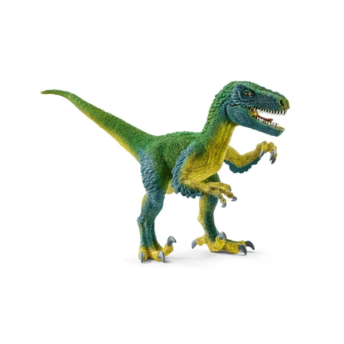 Vélociraptor 